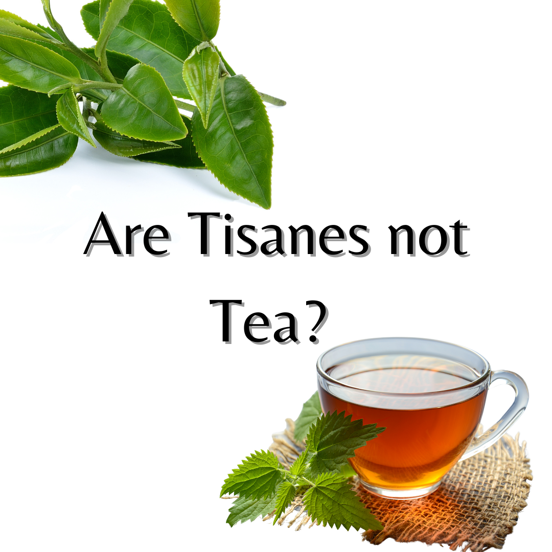 Are Tisanes not Tea?